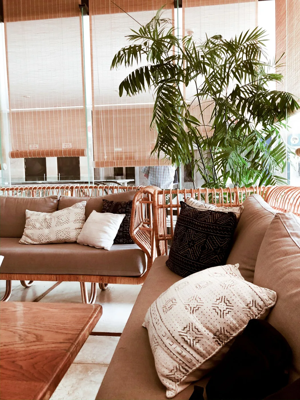 Rattan seating with cushions and houseplants beside large windows