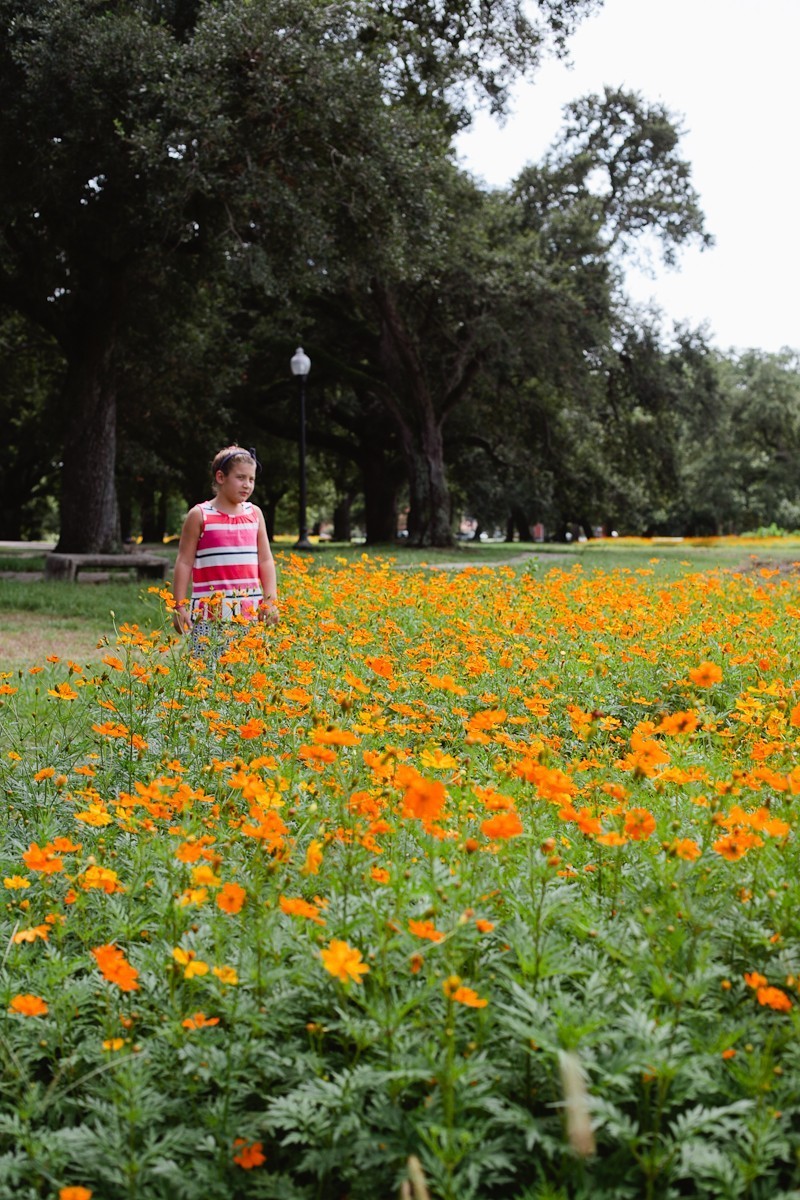 The best of Nashville and New Orleans #bluesummertour with @TabithaBlue-2