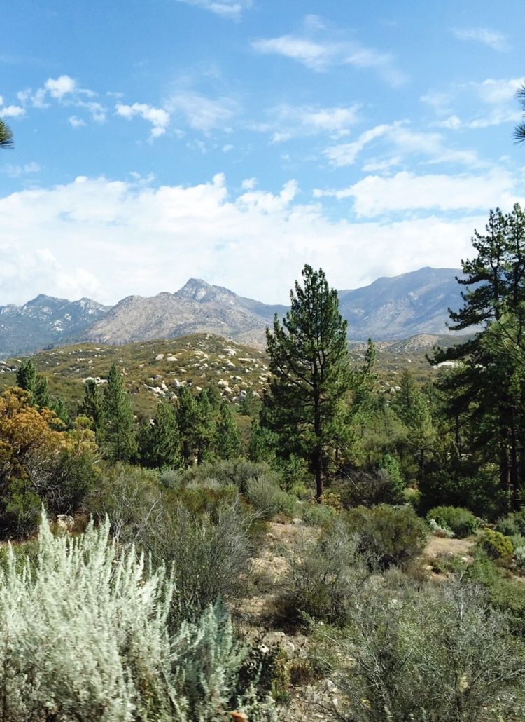 A gorgeous view from the mountains near Palm Springs. A road trip adventure with Mitsubishi Auto Show Product Specialists!