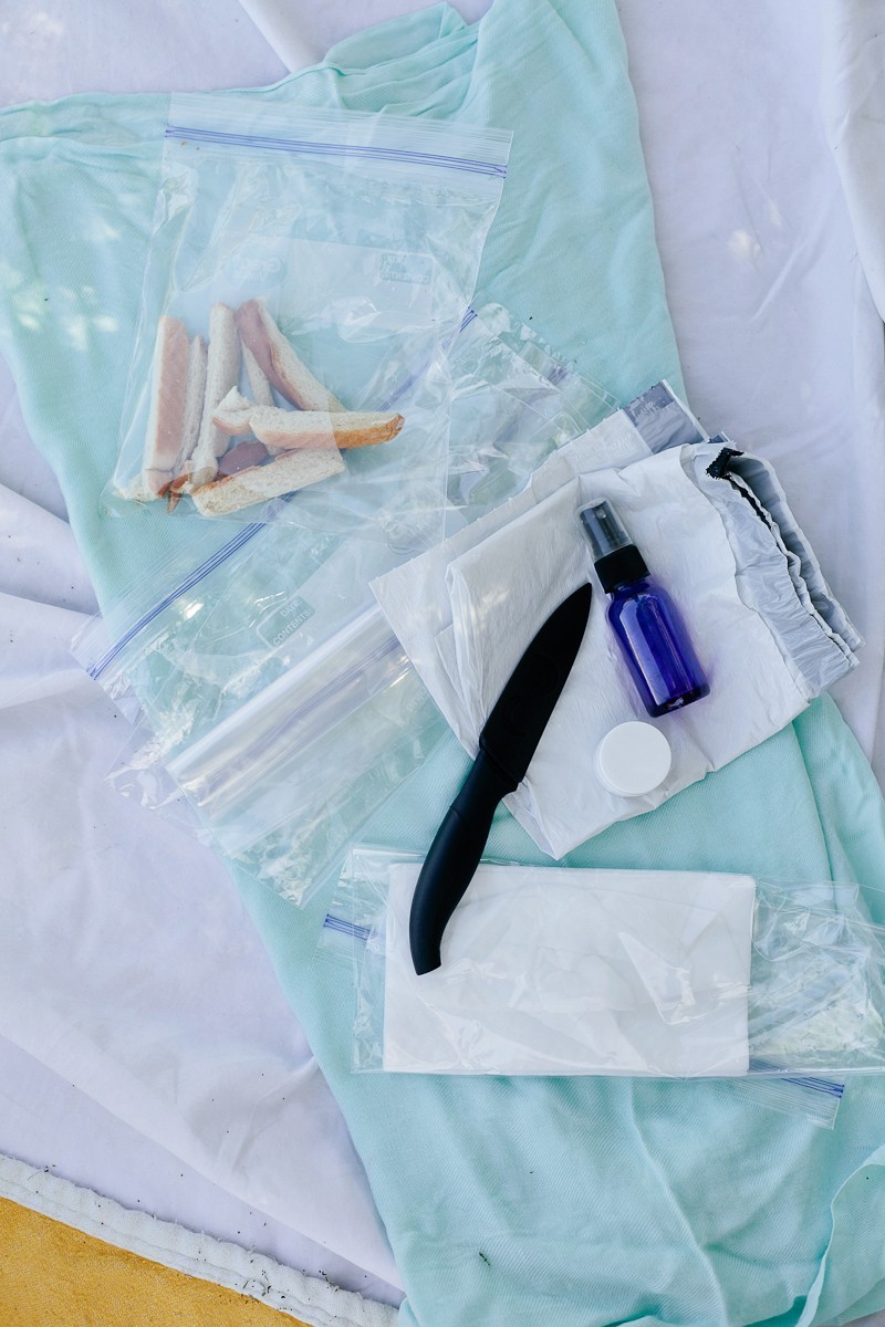 How To Plan a Picnic - A Kid Friendly Survival Guide