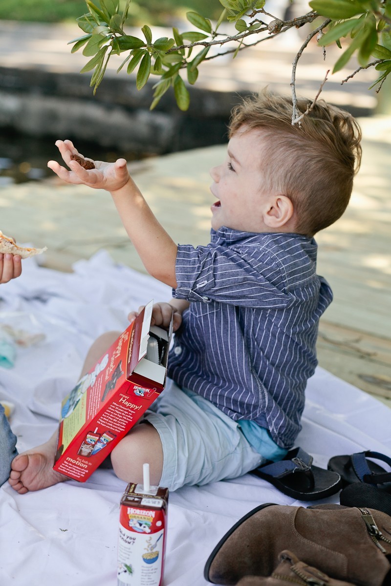 How To Plan the Perfect Picnic - A Kid Friendly Survival Guide