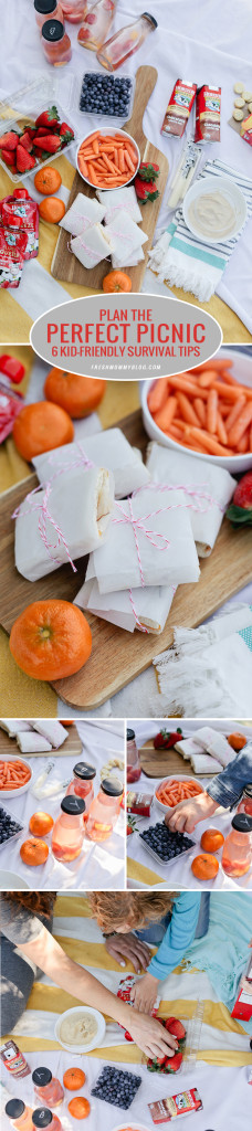 How-To-Plan-the-Perfect-Picnic--6-Kid-Friendly-Survival-Tips!