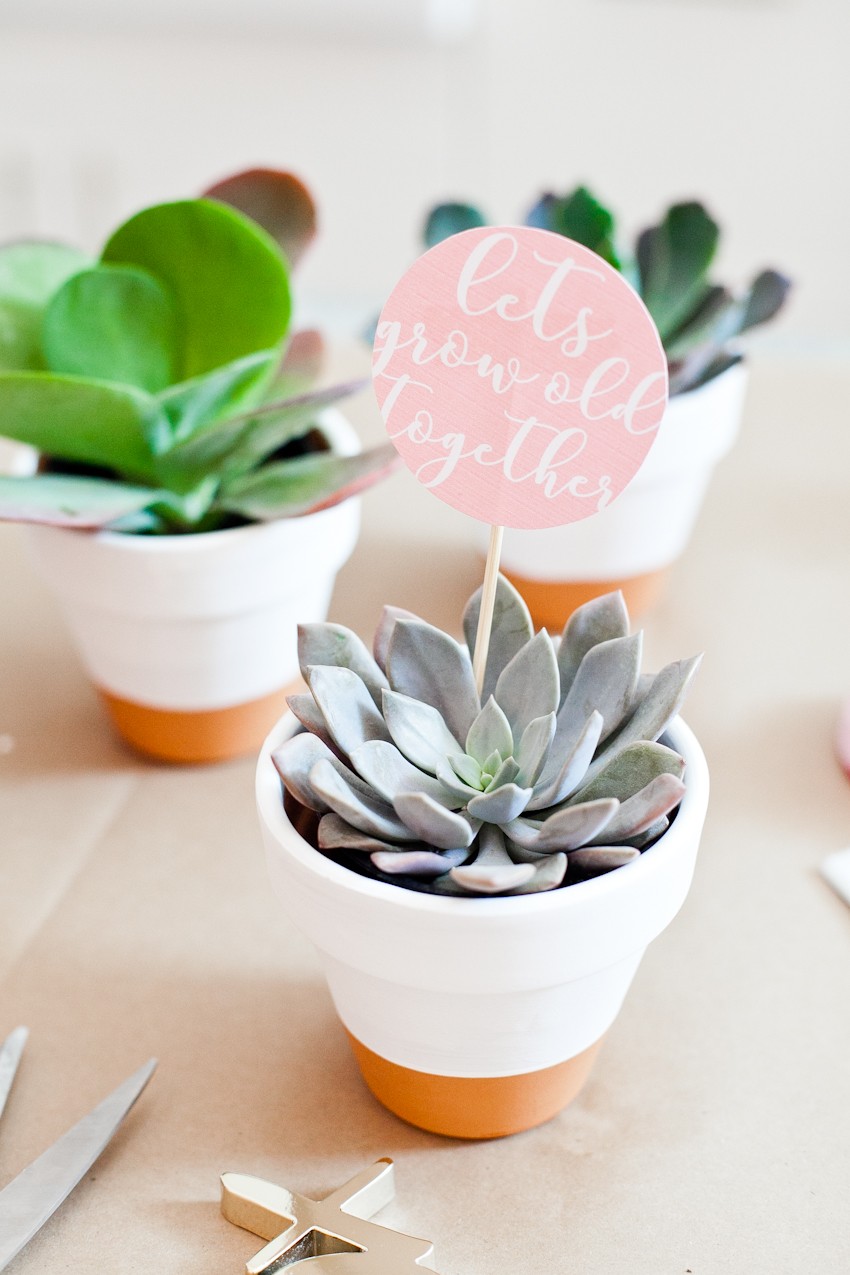 DIY Painted Planter Pot with Succulent. A Perfect Gift for any Holiday and Download the Free Printable Tags for Valentine's Day Gifts!