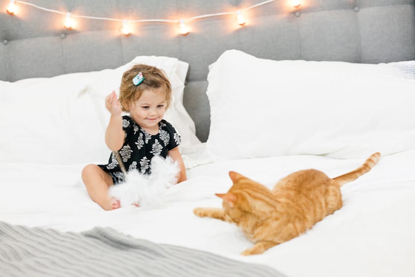 5 tips for the best baby and pet photos!! Plus, a SUPER simple DIY cat toy that your toddler with LOVE!