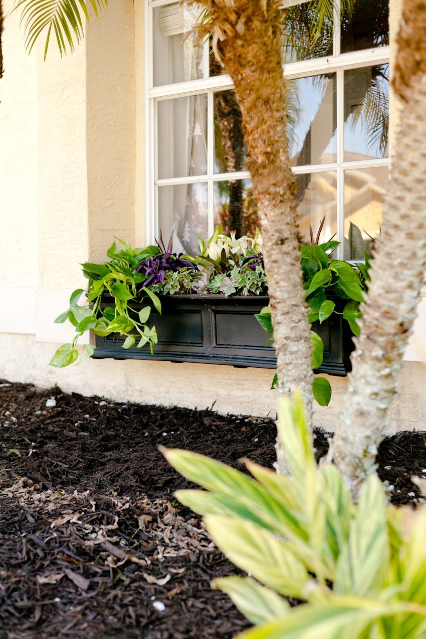 5 Tips to Create the Perfect DIY Window Box featured by popular Florida lifestyle blogger, Fresh Mommy Blog
