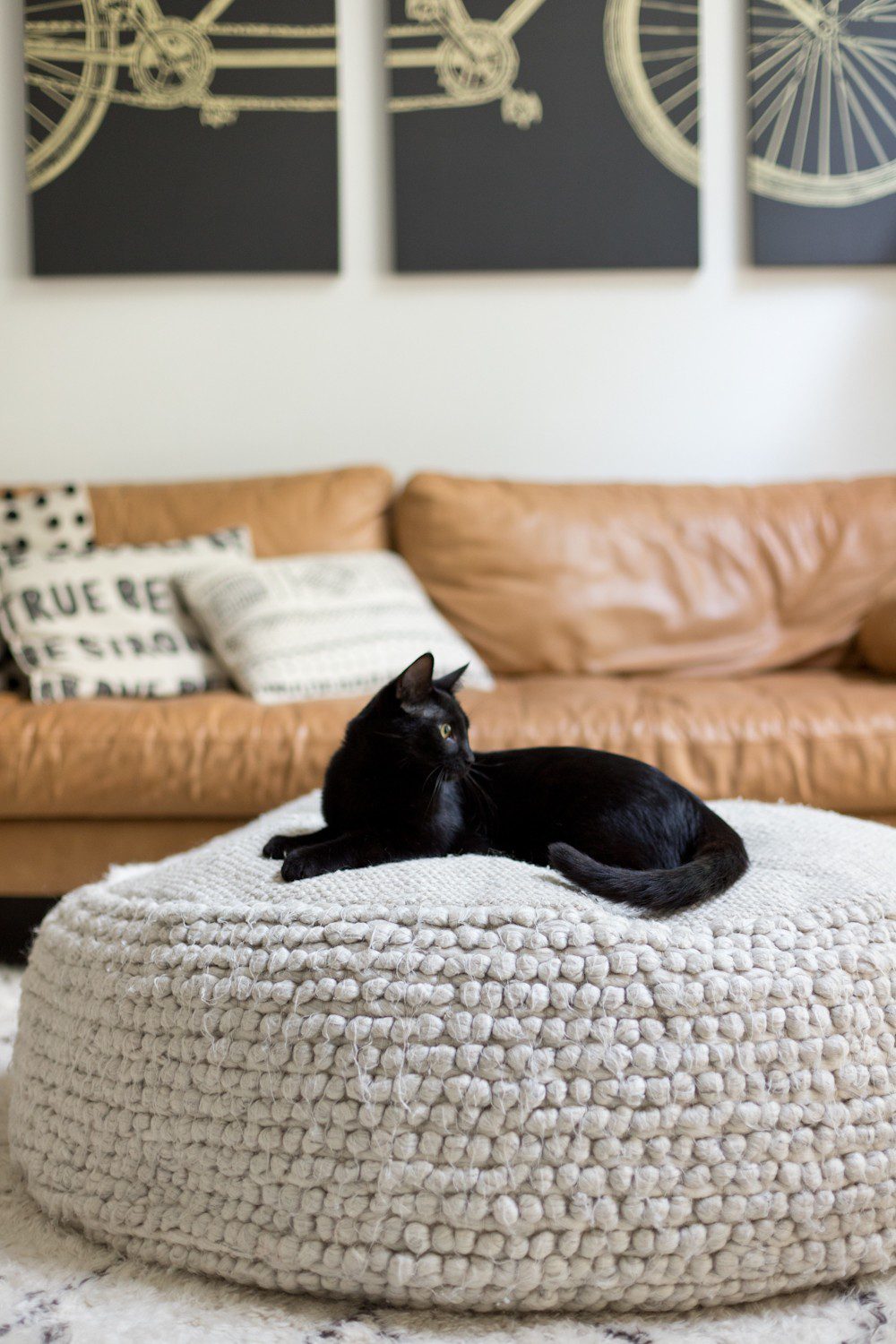 5 Essential Things for the Best Kitten Care from top US lifestyle blogger Tabitha Blue of Fresh Mommy Blog! I hate cat litter! Here’s why the Litter Robot is amazing and our new kitten care best friend. | How to Train Your Cat to Use the Litter Box by popular Tampa life and style blog, Fresh Mommy: image of a black cat sitting on a ottoman.