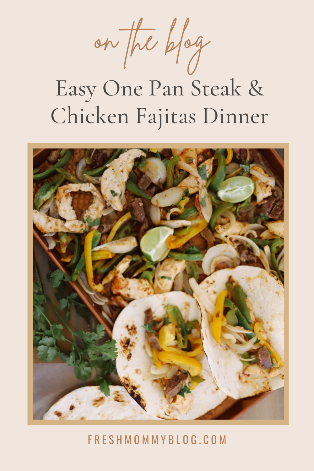 Easy Steak and Chicken Fajitas Dinner Idea the Entire Family will Love. One Pan Dinner.