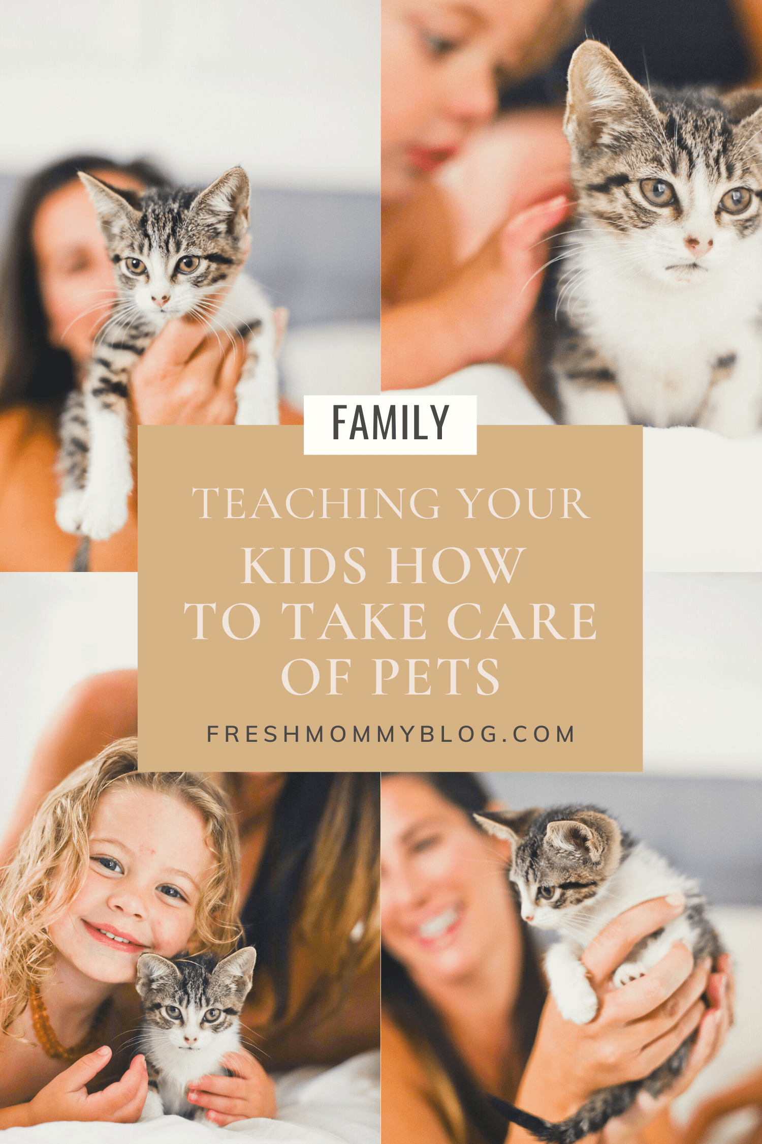Learn how to teach your 'cat kid' the essentials of pet care. This guide provides tips and tricks to help your child become a responsible and loving pet owner.