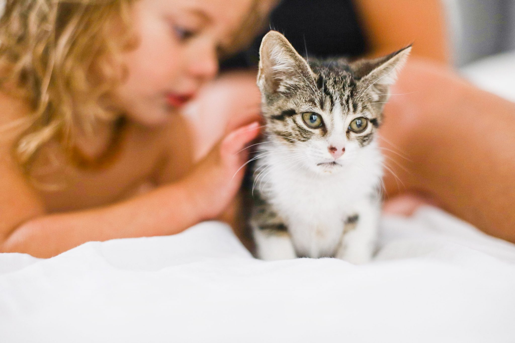 Learn how to teach your 'cat kid' the essentials of pet care. This guide provides tips and tricks to help your child become a responsible and loving pet owner.