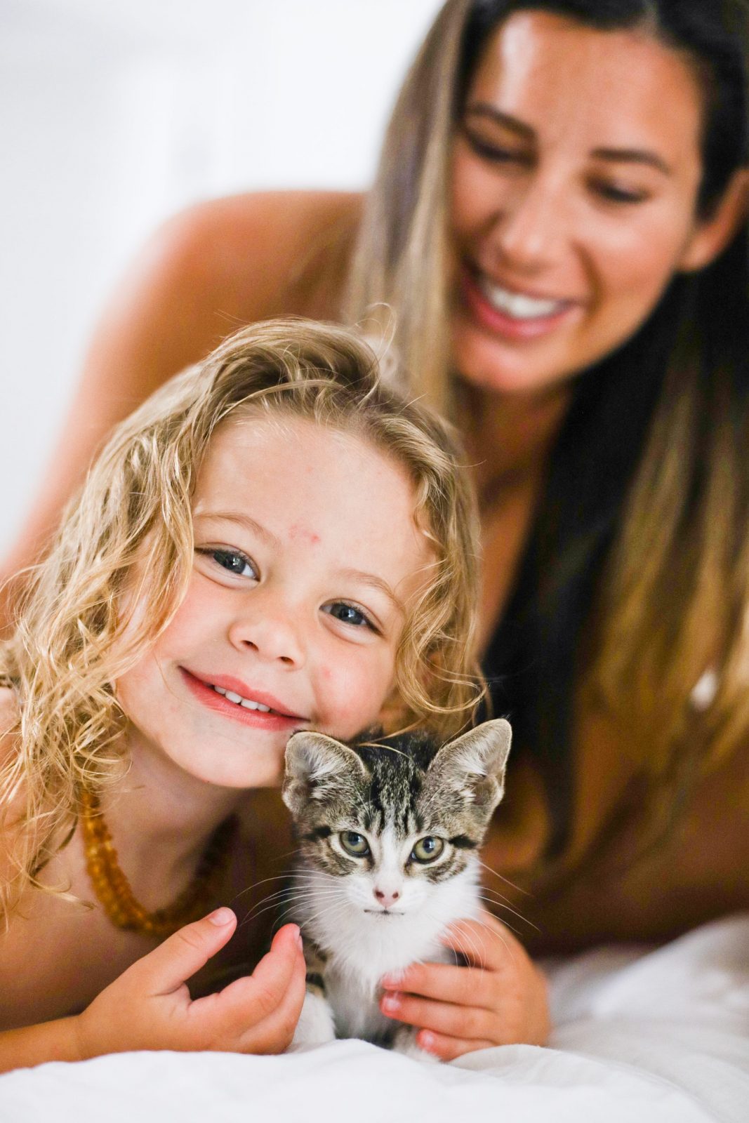 Learn how to teach your 'cat kid' the essentials of pet care. This guide provides tips and tricks to help your child become a responsible and loving pet owner.