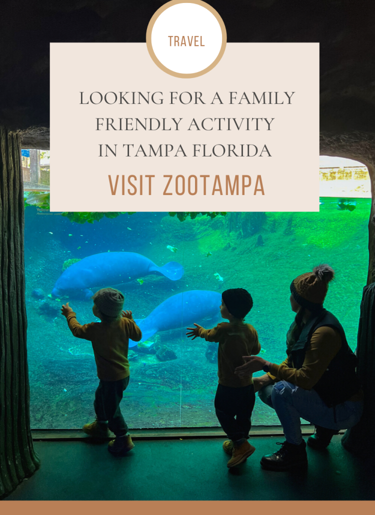 How to Have the Best Time at ZooTampa
